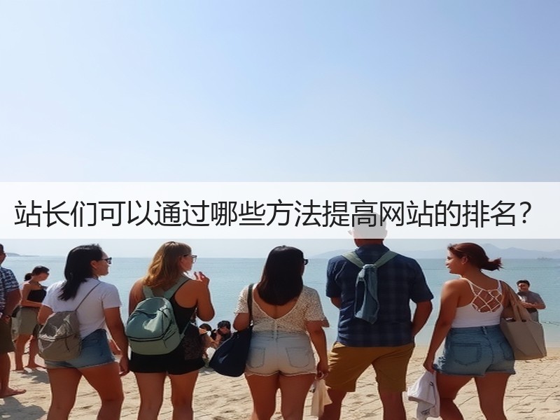 站长们可以通过哪些方法提高网站的排名?(图2) 站长们可以通过哪些方法提高网站的排名?(图2)