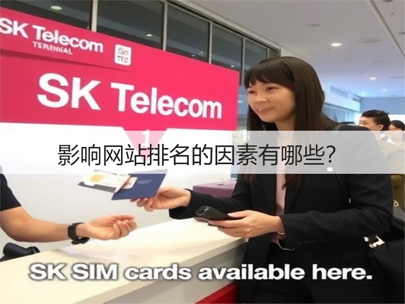 影响网站排名的因素有哪些?(图3) 影响网站排名的因素有哪些?(图3)