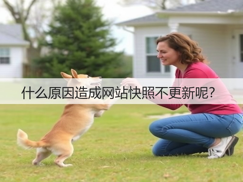 什么原因造成网站快照不更新呢？(图3)
