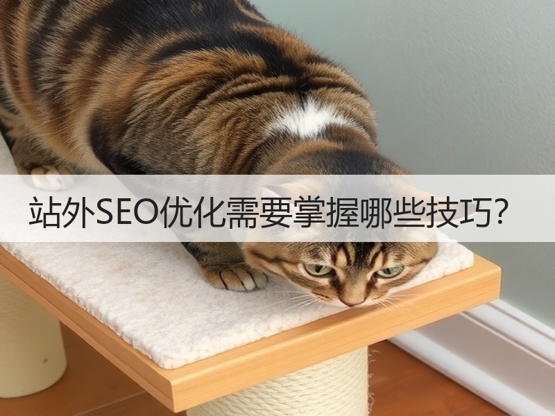 站外SEO优化需要掌握哪些技巧？