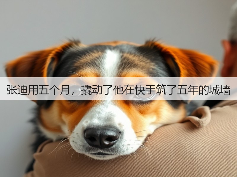 张迪用五个月,撬动了他在快手筑了五年的城墙(图3) 张迪用五个月,撬动了他在快手筑了五年的城墙(图3)