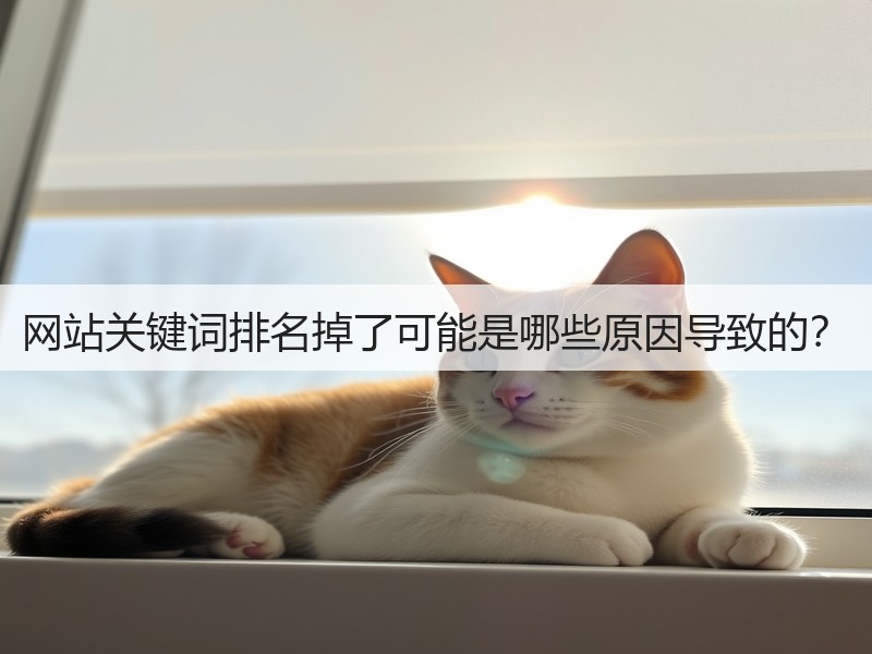 网站关键词排名掉了可能是哪些原因导致的？(图3)