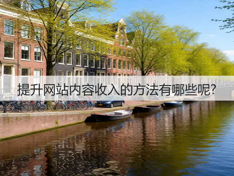提升网站内容收入的方法有哪些呢?(图3) 提升网站内容收入的方法有哪些呢?(图3)