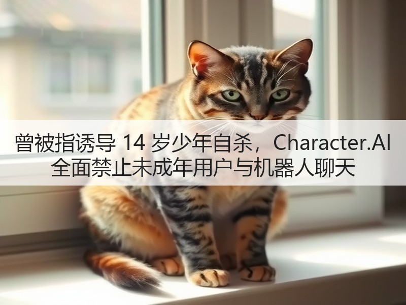 曾被指诱导 14 岁少年自杀，Character.AI 全面禁止未成年用户与机器人聊天(图3)