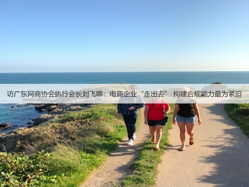 访广东网商协会执行会长刘飞娜：电商企业“走出去” 构建合规能力最为紧迫(图3)