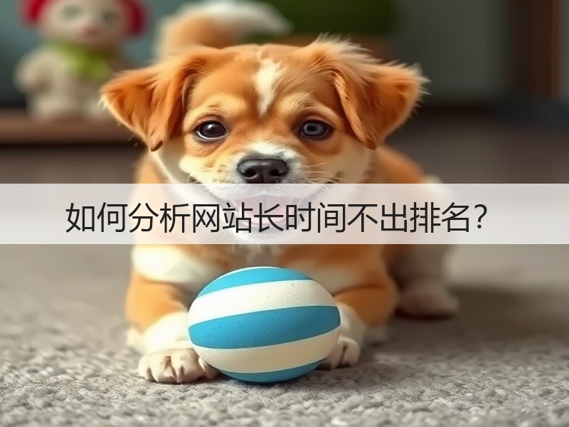 如何分析网站长时间不出排名?(图3) 如何分析网站长时间不出排名?(图3)