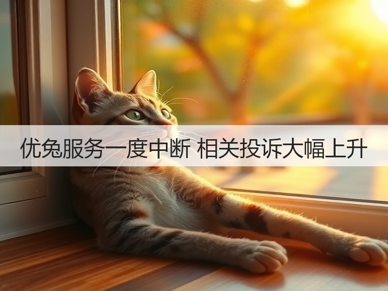 优兔服务一度中断 相关投诉大幅上升(图3)