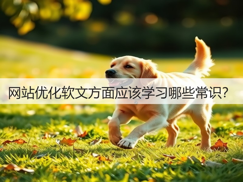 网站优化软文方面应该学习哪些常识？(图2)