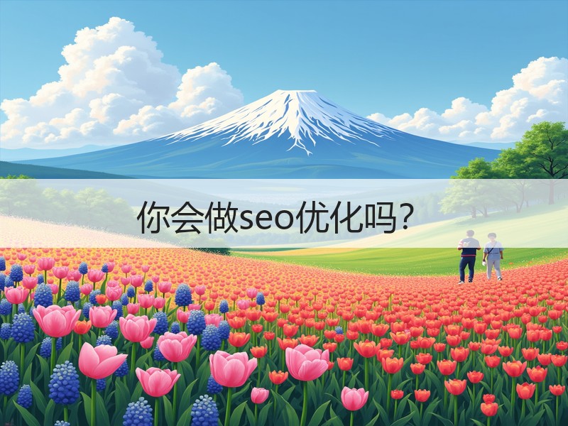 你会做seo优化吗？