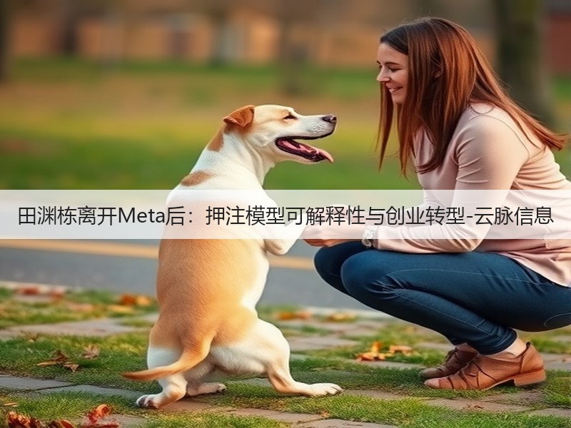 田渊栋离开Meta后：押注模型可解释性与创业转型-云脉信息(图3)