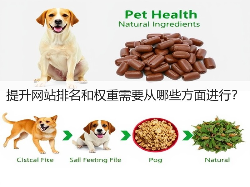 提升网站排名和权重需要从哪些方面进行？(图3)