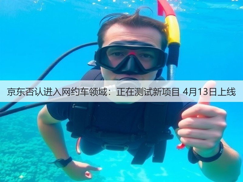 京东否认进入网约车领域：正在测试新项目 4月13日上线(图3)
