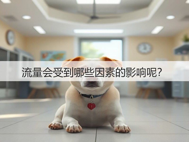 流量会受到哪些因素的影响呢？(图2)