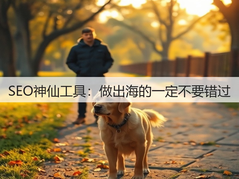 SEO神仙工具:做出海的一定不要错过(图3) SEO神仙工具:做出海的一定不要错过(图3)