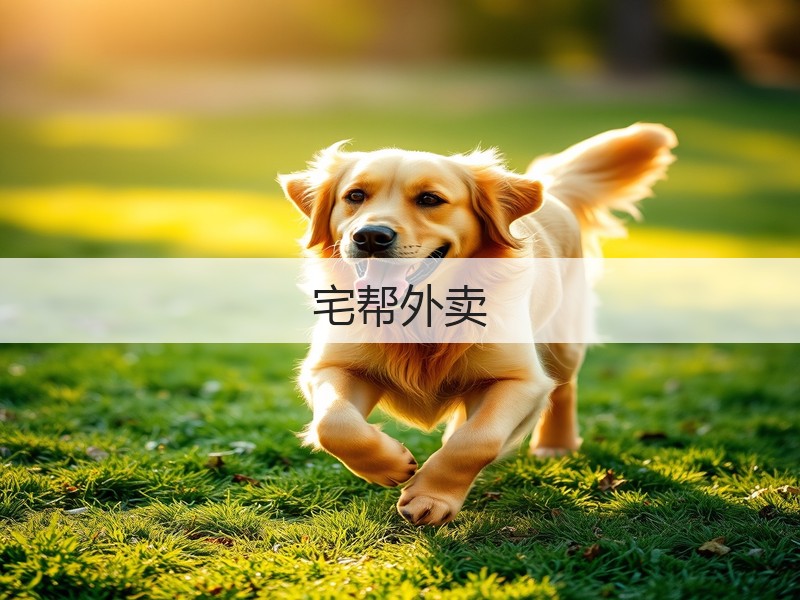 宅帮外卖(图3)