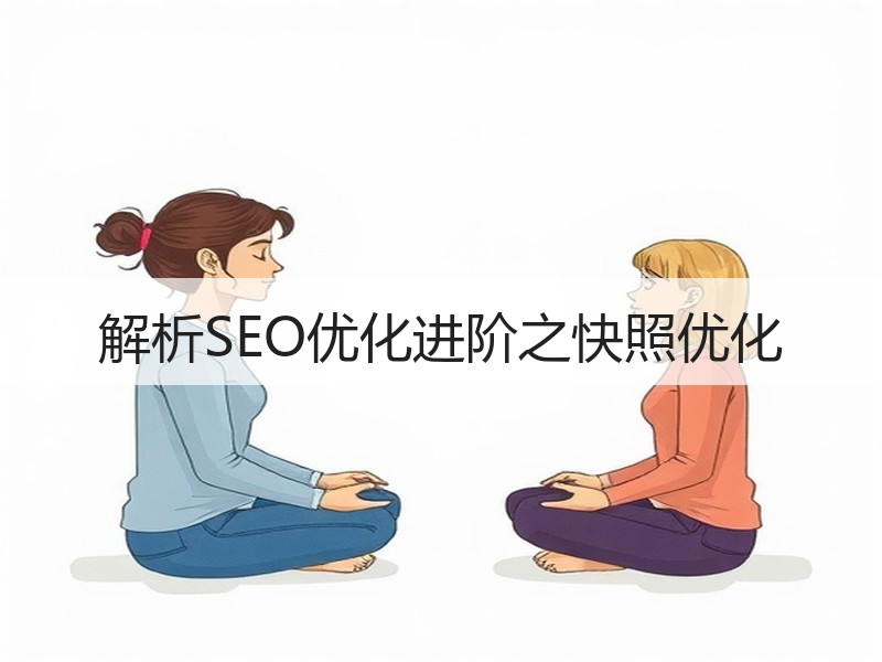 解析SEO优化进阶之快照优化