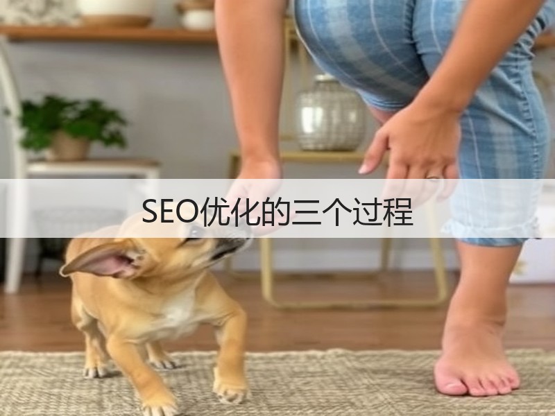SEO优化的三个过程(图3)