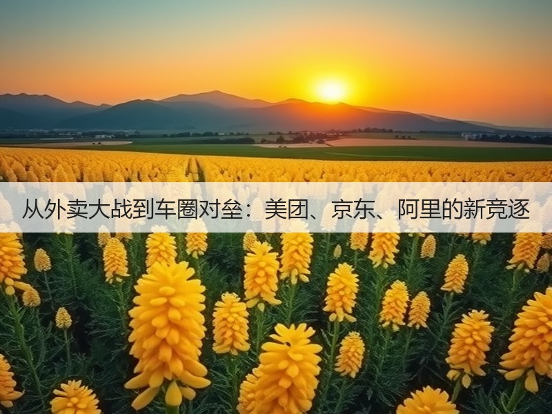 从外卖大战到车圈对垒:美团、京东、阿里的新竞逐(图2) 从外卖大战到车圈对垒:美团、京东、阿里的新竞逐(图2)