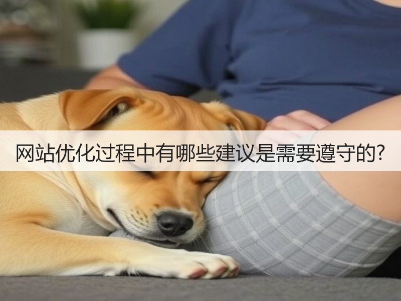 网站优化过程中有哪些建议是需要遵守的?(图3)