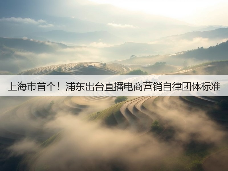 上海市首个！浦东出台直播电商营销自律团体标准(图3)