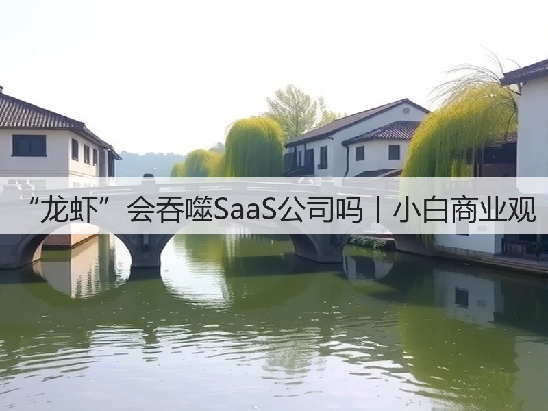 “龙虾”会吞噬SaaS公司吗丨小白商业观(图2) “龙虾”会吞噬SaaS公司吗丨小白商业观(图2)