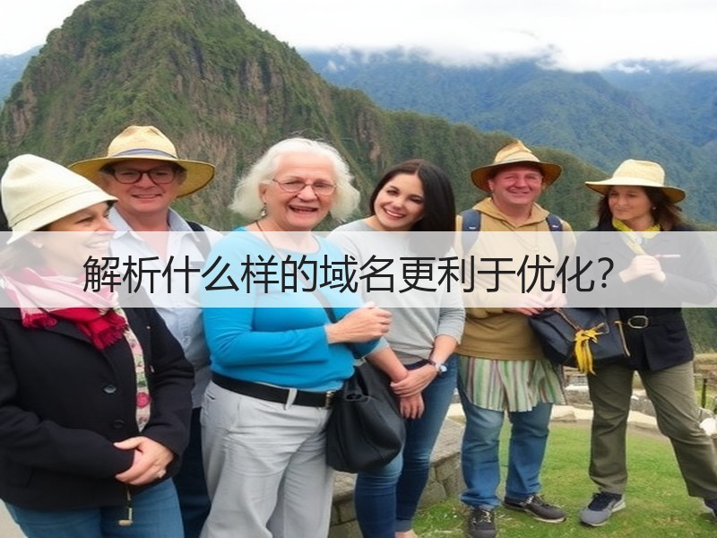 解析什么样的域名更利于优化？(图2)
