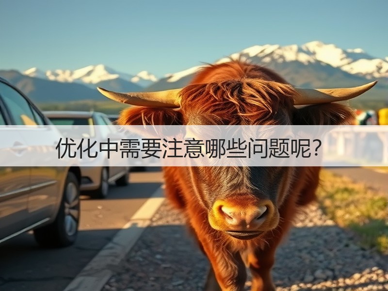 优化中需要注意哪些问题呢?(图2) 优化中需要注意哪些问题呢?(图2)