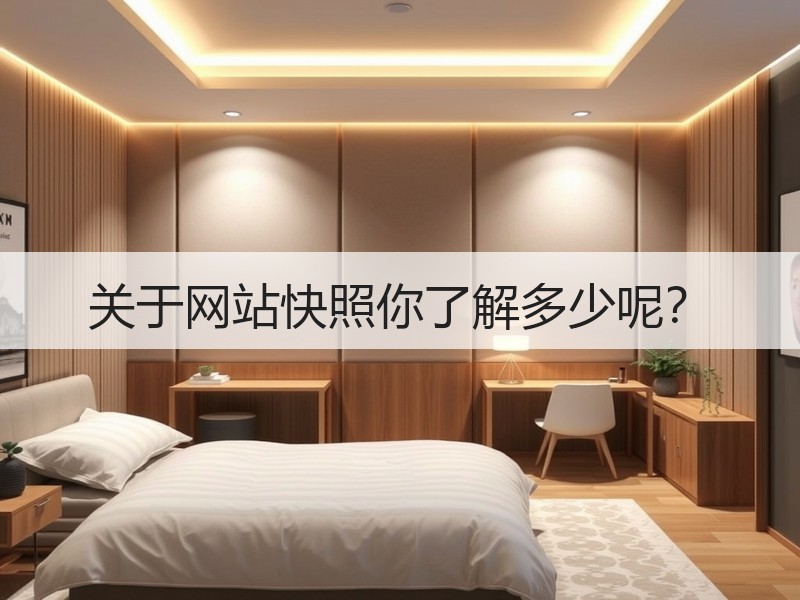 关于网站快照你了解多少呢？