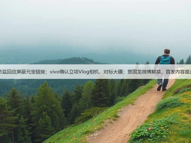 8点1氪丨微信公关总监回应屏蔽元宝链接；vivo确认立项Vlog相机，对标大疆；贾国龙微博解禁，首发内容是速冻西兰花科普视频(图2)