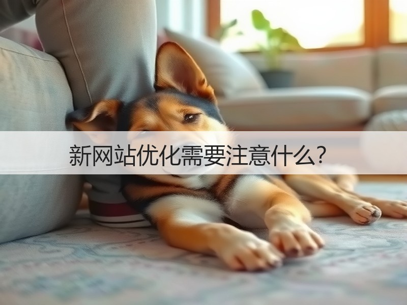 新网站优化需要注意什么？(图3)