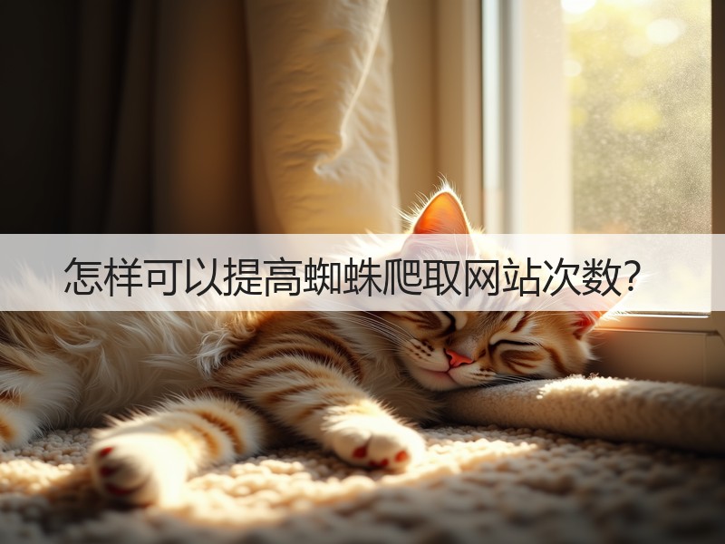 怎样可以提高蜘蛛爬取网站次数？(图2)