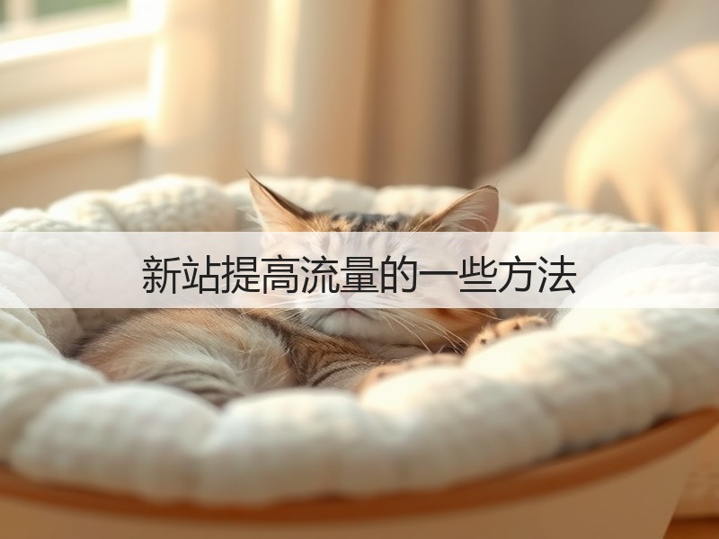 新站提高流量的一些方法(图3) 新站提高流量的一些方法(图3)