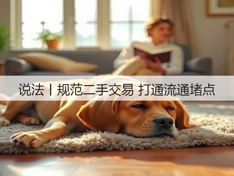 说法丨规范二手交易 打通流通堵点(图2)
