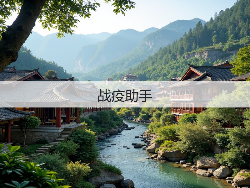 战疫助手(图3)