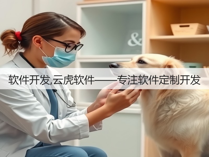 软件开发,云虎软件——专注软件定制开发(图2)