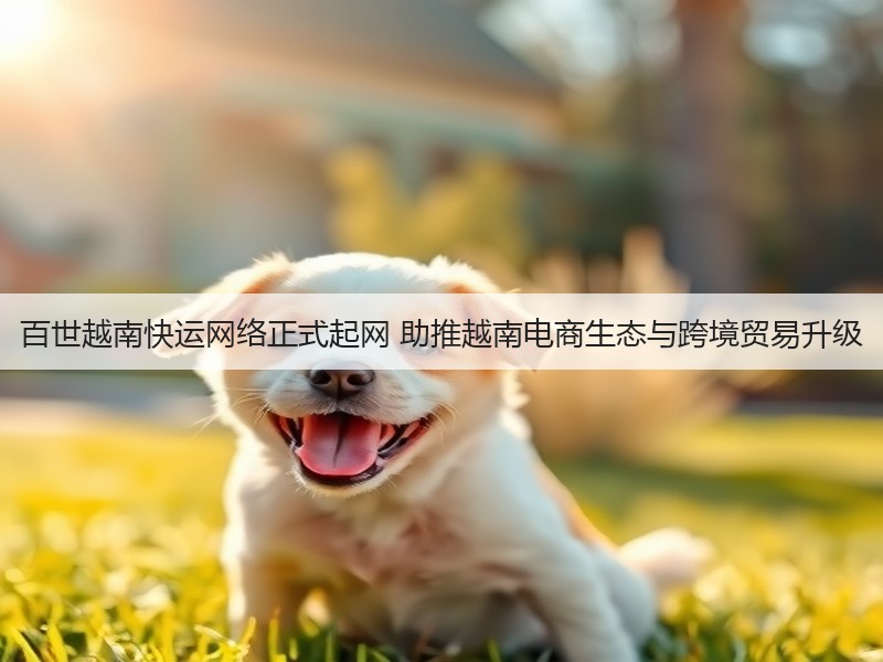 百世越南快运网络正式起网 助推越南电商生态与跨境贸易升级(图2)