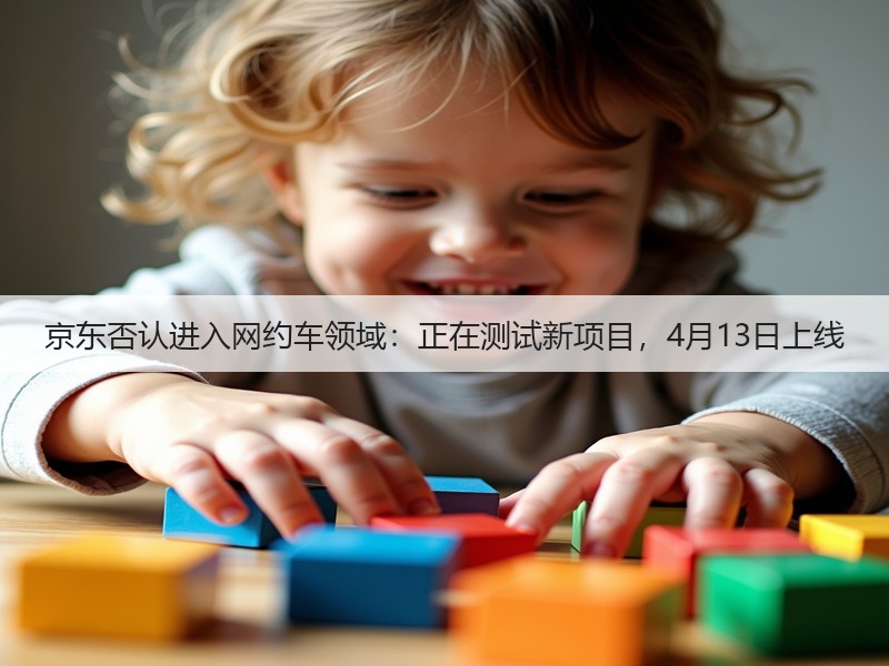 京东否认进入网约车领域：正在测试新项目，4月13日上线(图3)