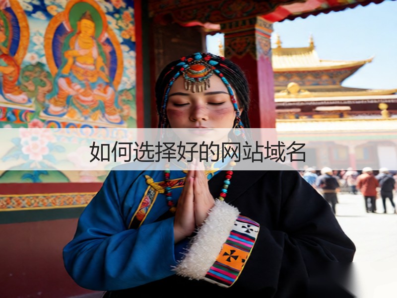 如何选择好的网站域名(图1) 如何选择好的网站域名(图1)