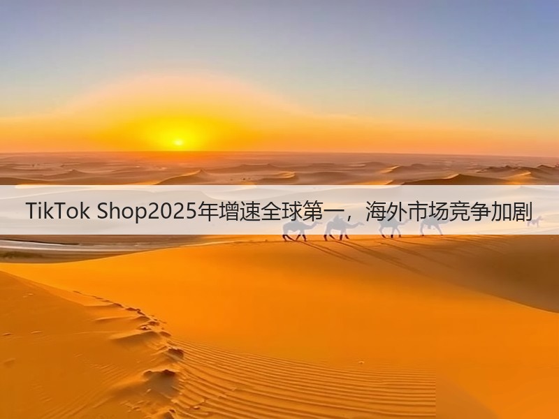 TikTok Shop2025年增速全球第一,海外市场竞争加剧(图3) TikTok Shop2025年增速全球第一,海外市场竞争加剧(图3)