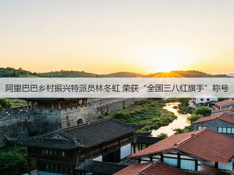 阿里巴巴乡村振兴特派员林冬虹 荣获“全国三八红旗手”称号(图2)