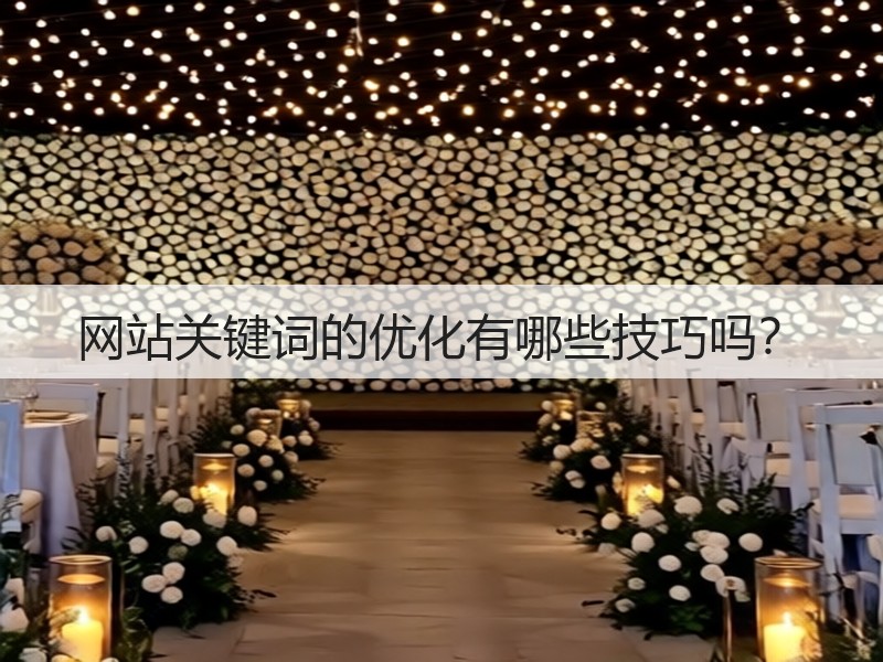 网站关键词的优化有哪些技巧吗？(图3)