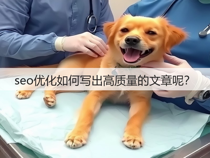 seo优化如何写出高质量的文章呢?(图1) seo优化如何写出高质量的文章呢?(图1)