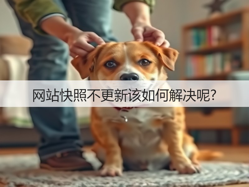 网站快照不更新该如何解决呢?(图3)