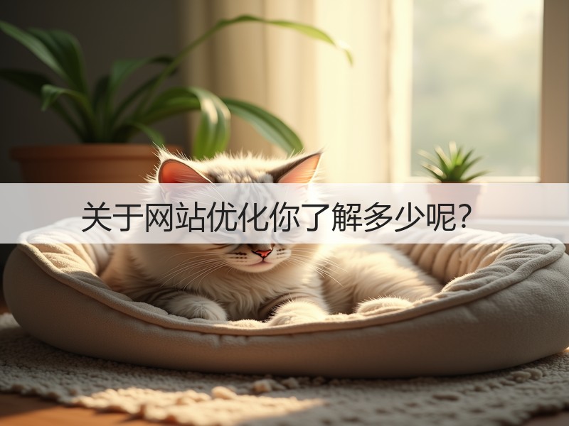 关于网站优化你了解多少呢？(图3)