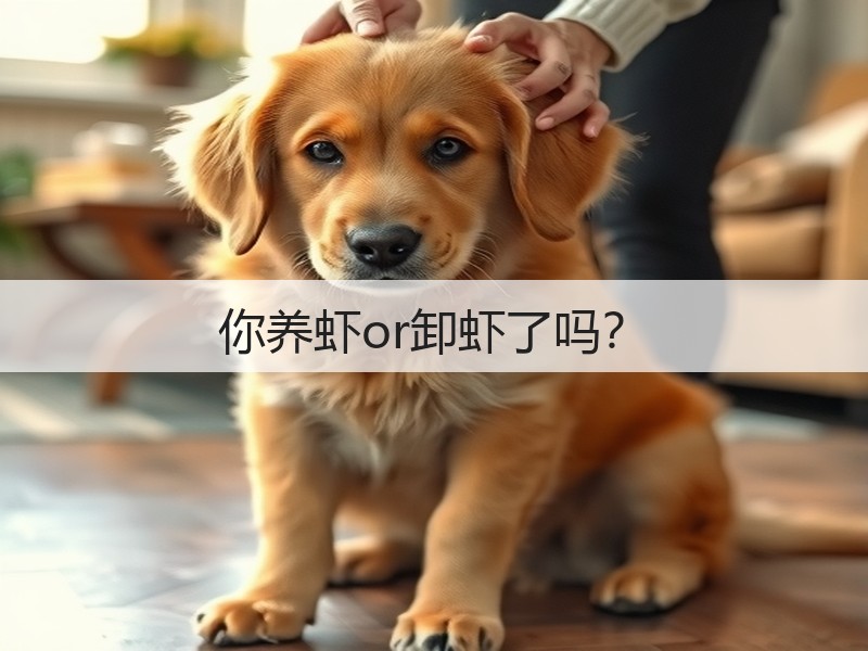 你养虾or卸虾了吗？(图3)