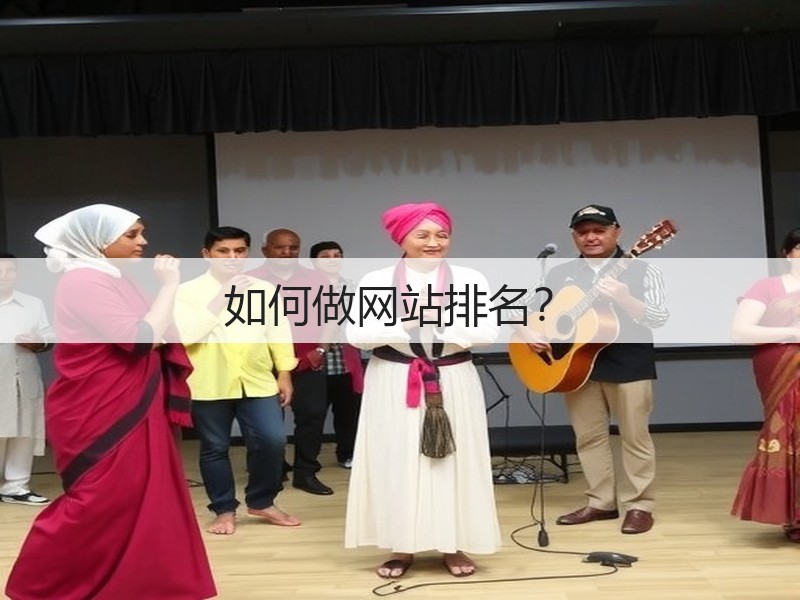 如何做网站排名？(图1)