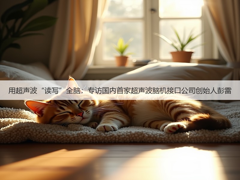 用超声波“读写”全脑：专访国内首家超声波脑机接口公司创始人彭雷(图2)