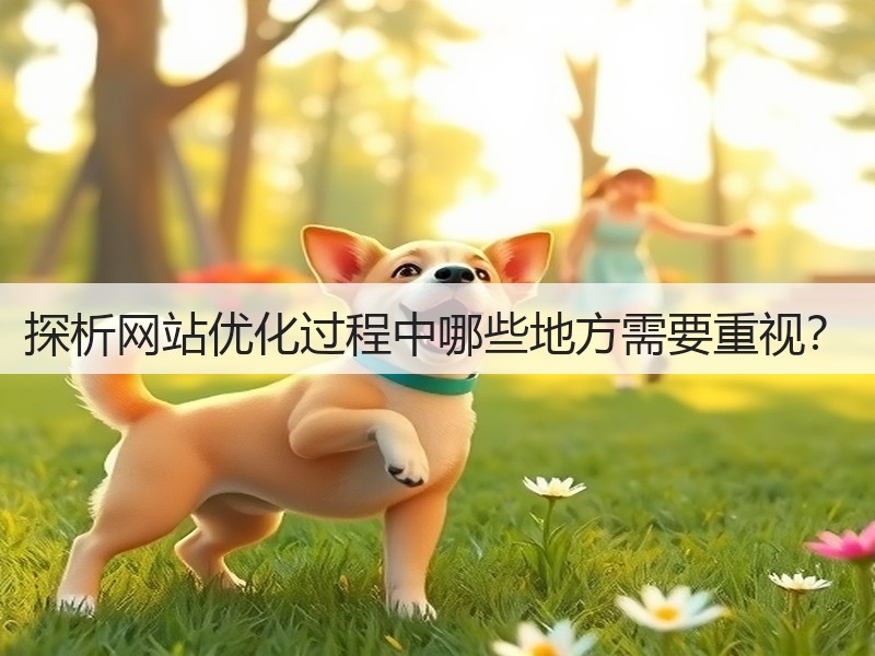 探析网站优化过程中哪些地方需要重视?(图3) 探析网站优化过程中哪些地方需要重视?(图3)