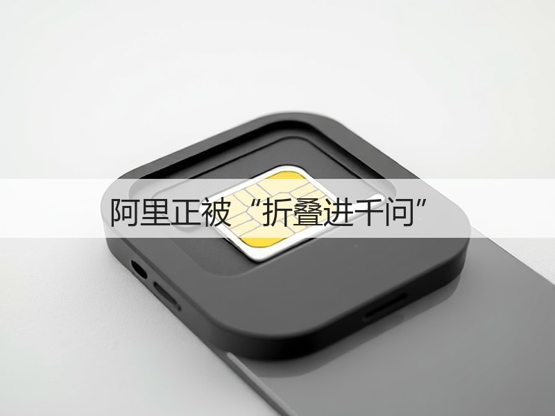 阿里正被“折叠进千问”(图3)
