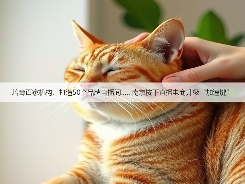 培育百家机构、打造50个品牌直播间……南京按下直播电商升级“加速键”(图3)